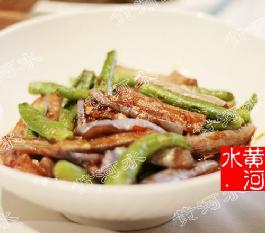 �������ӵ�����