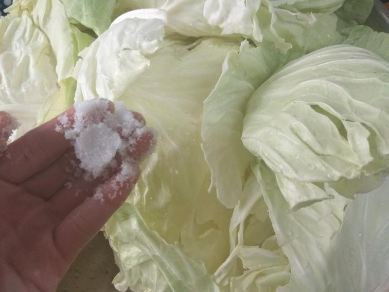 ̨ʽ�������ݲ˵�����