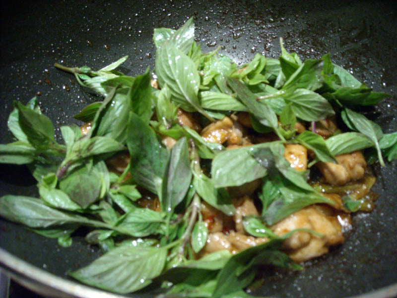 ̨���ζ��~~������������