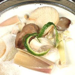 ���̩ʽ����������