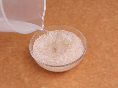 ����׾��������