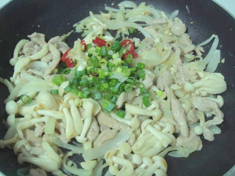 ̩ʽ������˿������