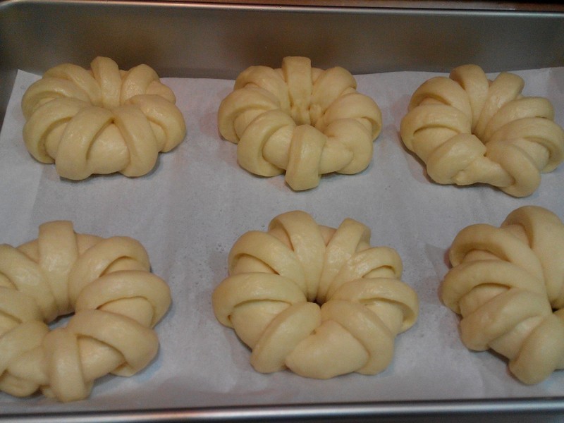 ţ�����һ������������