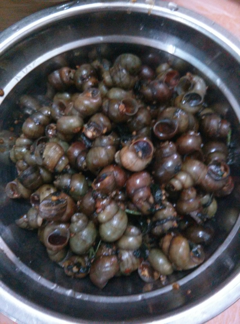 ���ճ�ʯ�ݵ�����