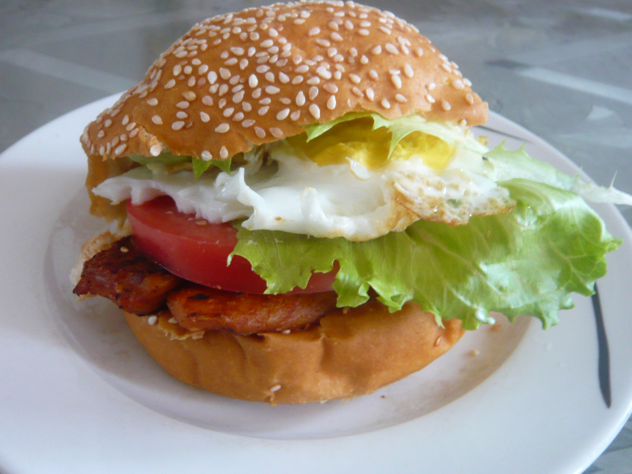 ��ʽ����������