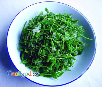 ����ʹ���������