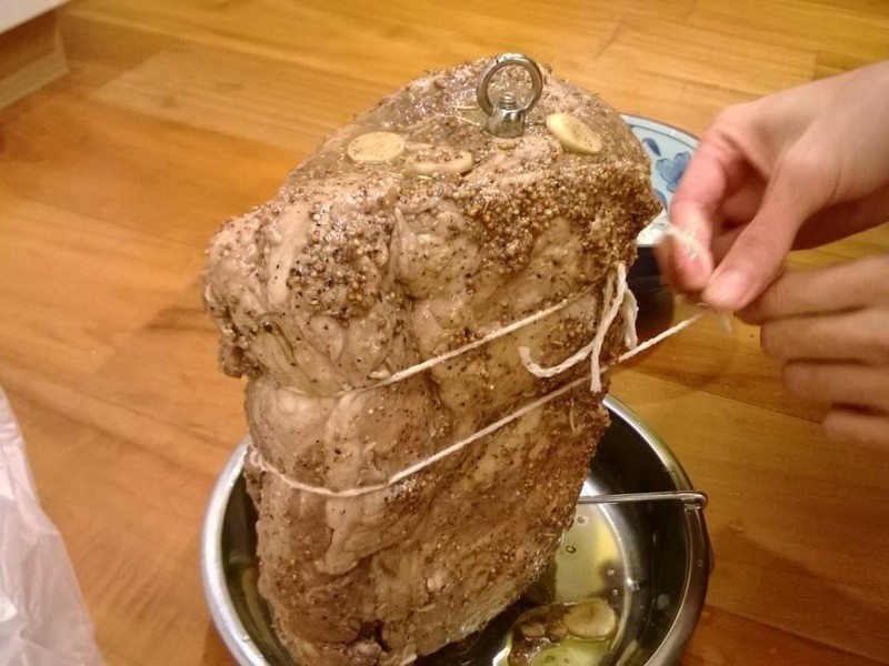 ����ţ�������