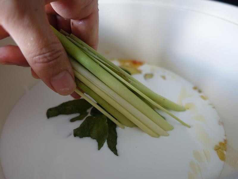 ̩ʽҬ�㶹��������