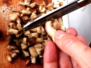 �Լ�����ˮ�ǵ�����