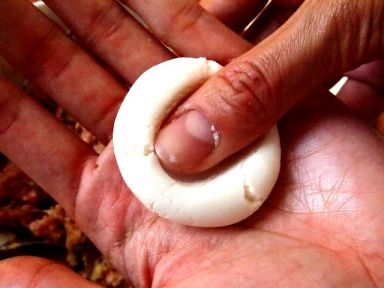 �Լ�����ˮ�ǵ�����