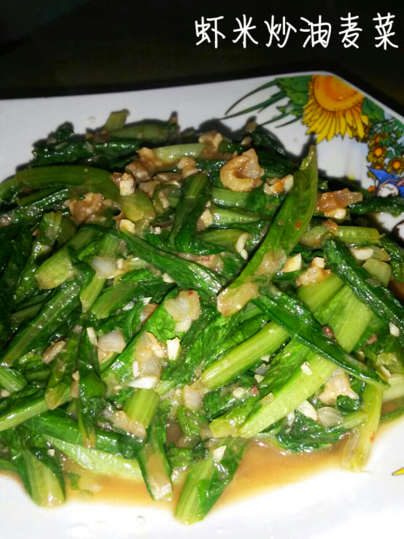 Ϻ�׳�����˵�����