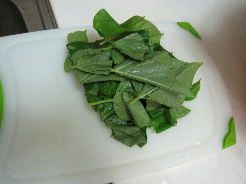 [6M����] �ع�Ҷ�������