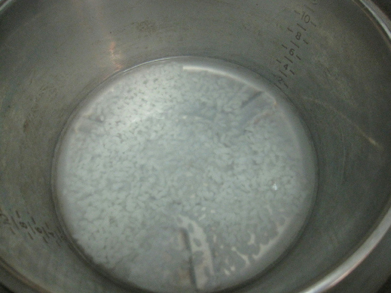 [6M����] �ع�Ҷ�������