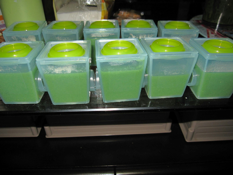 [6M����] �ع�Ҷ�������