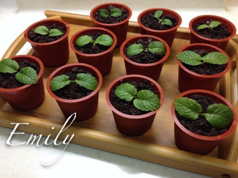 ����������������