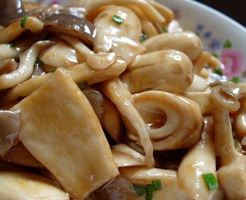 ���С�Ӿ�������