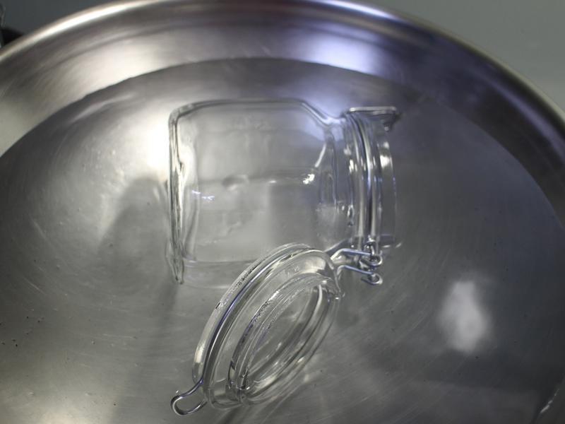 ��֦ƻ�����ʽ�������