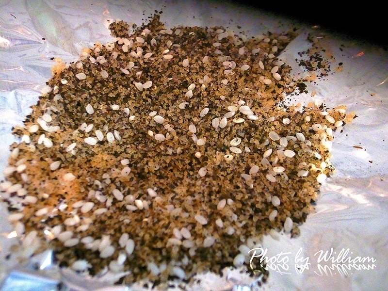 ��ʽ�����̠`ɳ�������