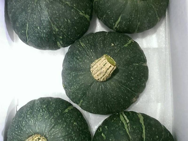 ��ζ�����Ϲ�Ũ��������