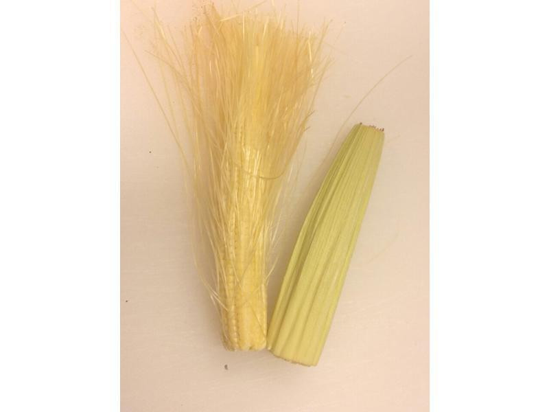 ����¶��«��Ũ��������