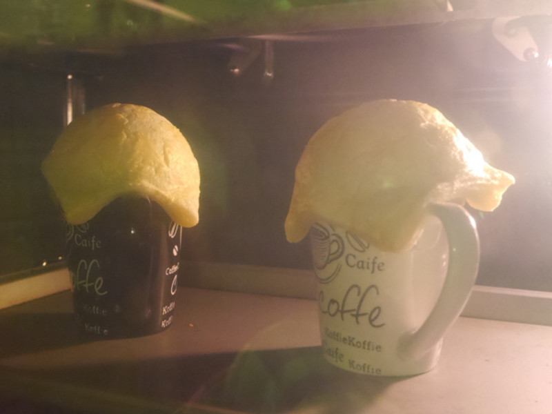 ��Ũ��ƤŨ��������