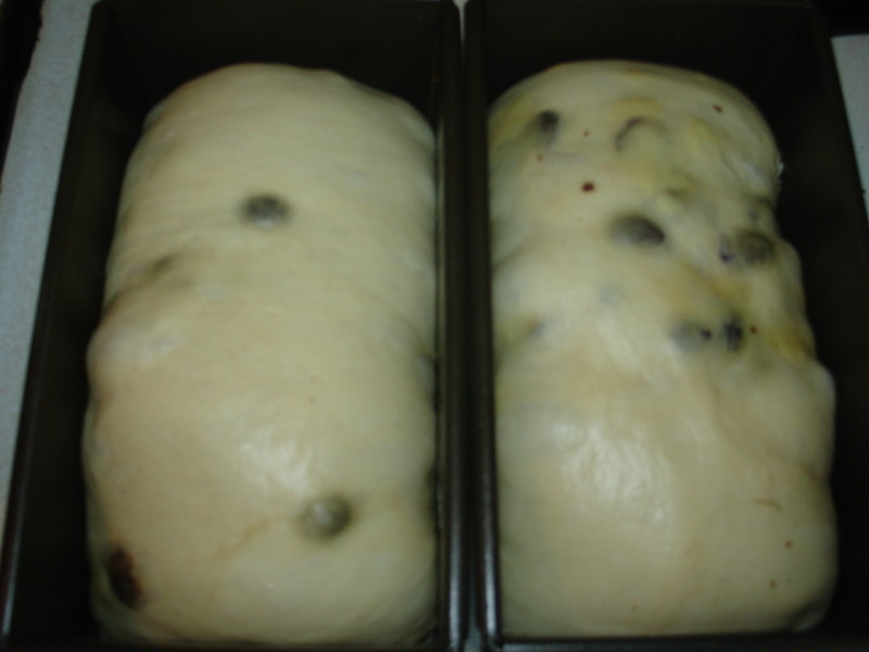 ���Ѹ���˾[�決չʳ��ļ��]������