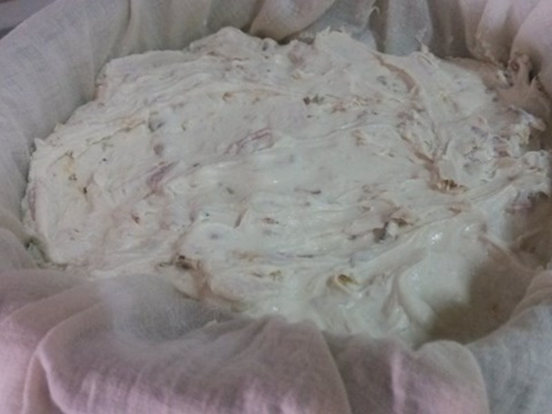 ����ζӣ��Ϻ��ͷ�������