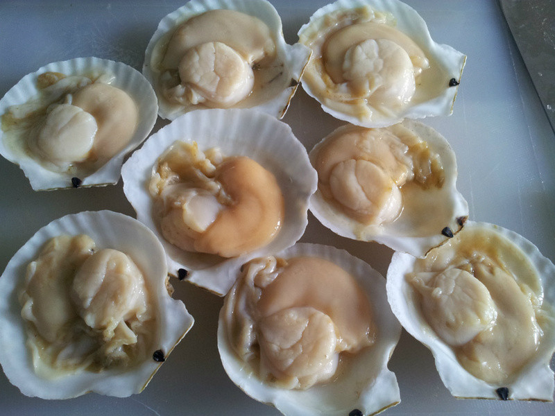 ����ͥ�������������ط�˿���ȱ�������