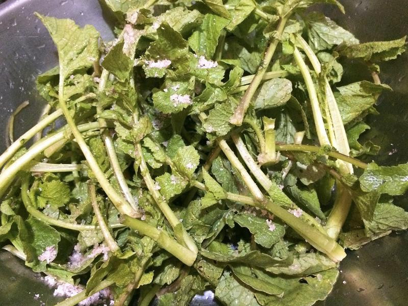 ѩ�˶���������