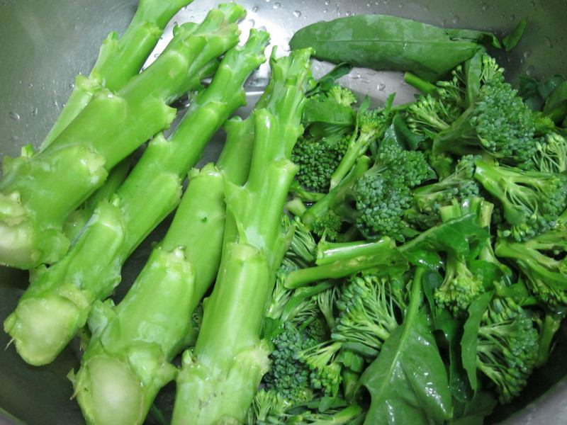 XO����Ҭ�˵�����