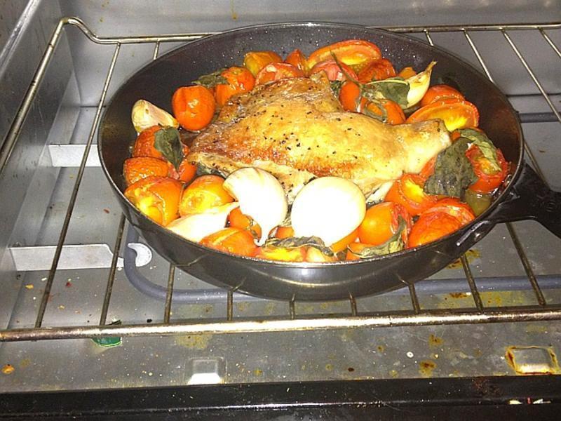 ��ʽ���ⷬ�����տ���������