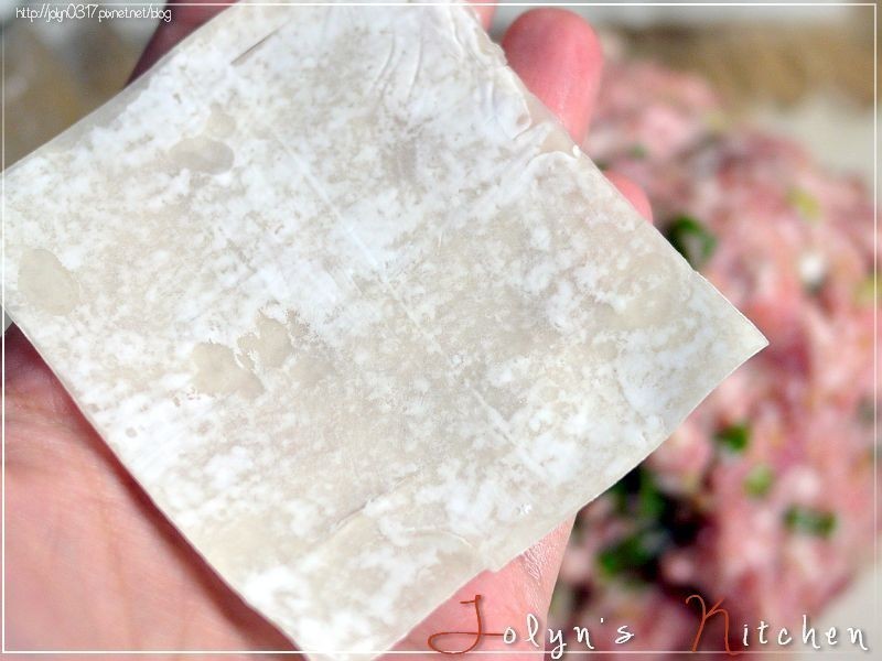 ?���������������ħŮJolyn������