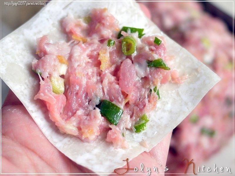 ?���������������ħŮJolyn������