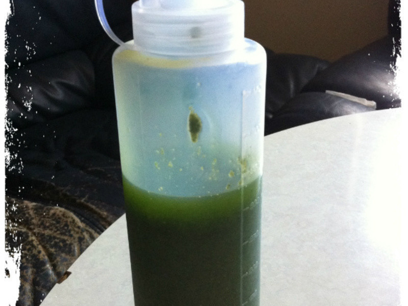 (Genovese)������ʽ�ུ������