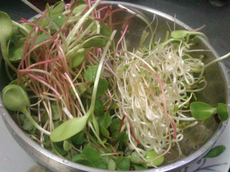 ����ʽ���ݲ��������������