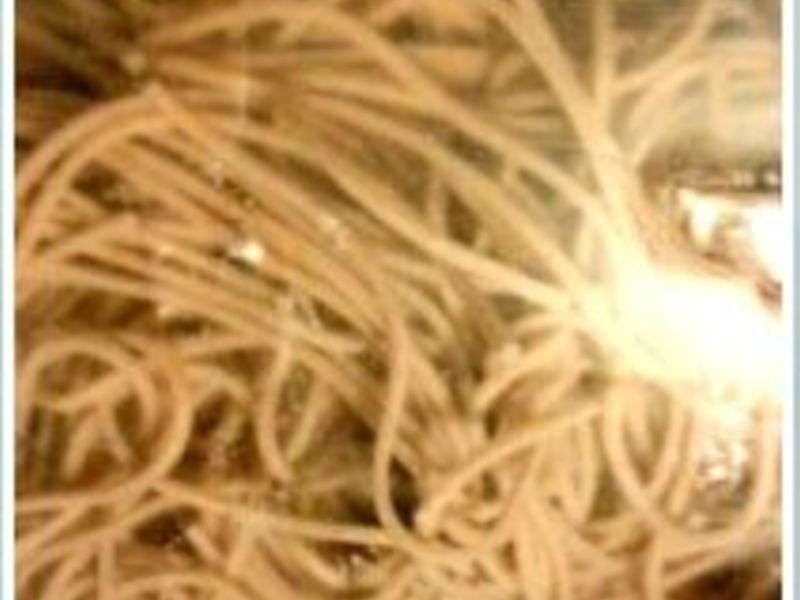 ��ĩ�������������