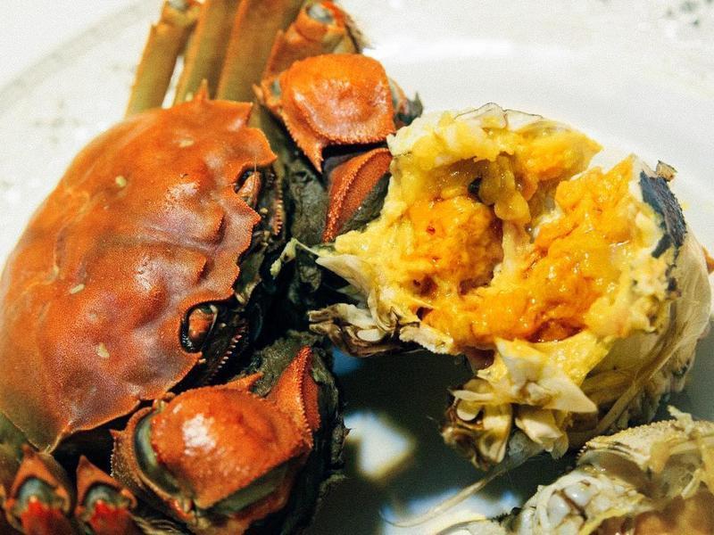 ��������բз������