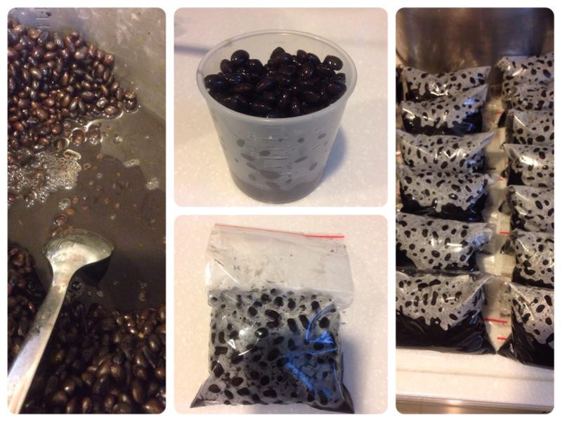 Ũ��ȫӪ���ڶ���������