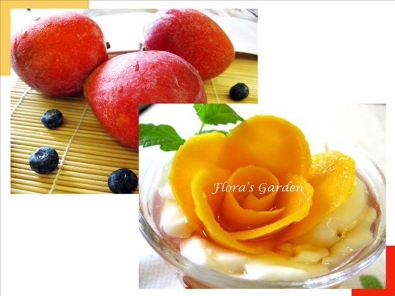 ������ζ�ġ�����¶â����������������