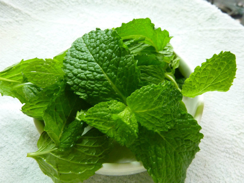 (((������)))������ ֮ ������ȷ���ˬ������