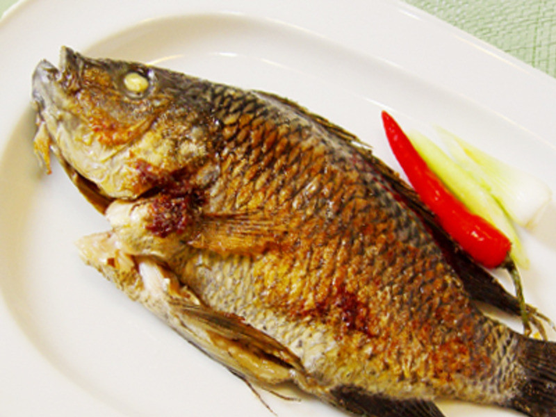 �������������