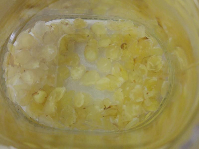 ������?ѩ���ӵ�����