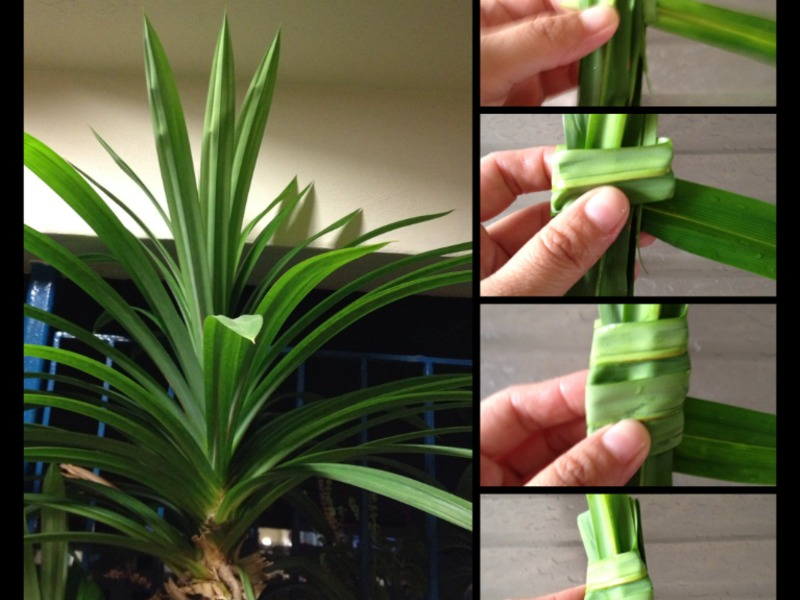 �¼���ʽ ���ϼ���������