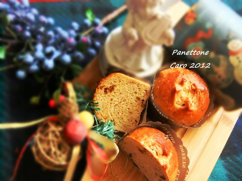 ʥ���������������