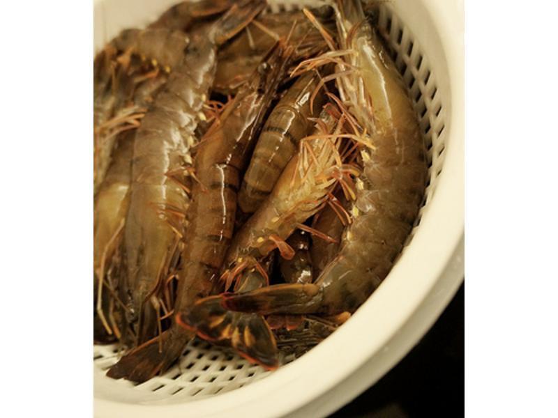 ��ʽ֥ʿ(��˾)��Ϻ���������