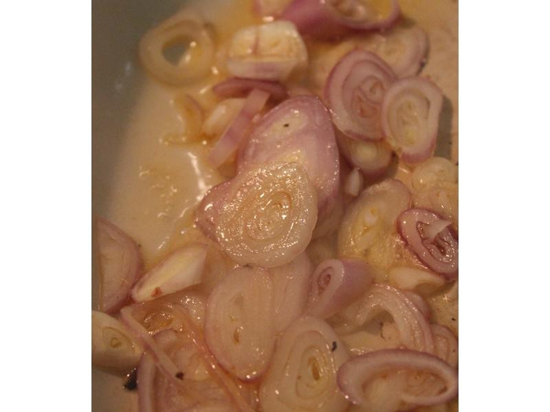 �ѹ����������