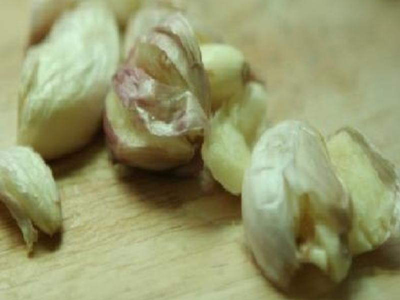 ����ܲ�±���������