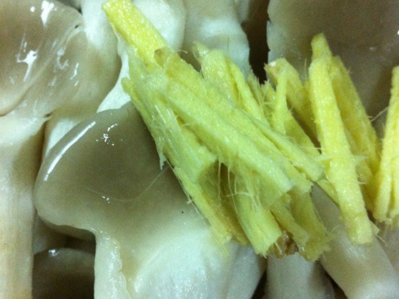 ����è~�Ҹ��㵱(���ܳ�û~~)������