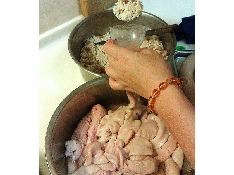 ����������Ŵ�׳�������