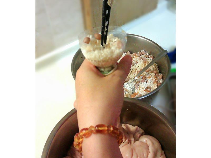 ����������Ŵ�׳�������